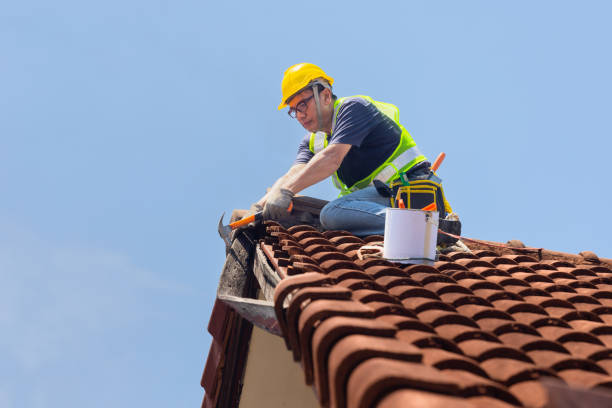 Best Roof Moss and Algae Removal  in Ridgewood, NJ